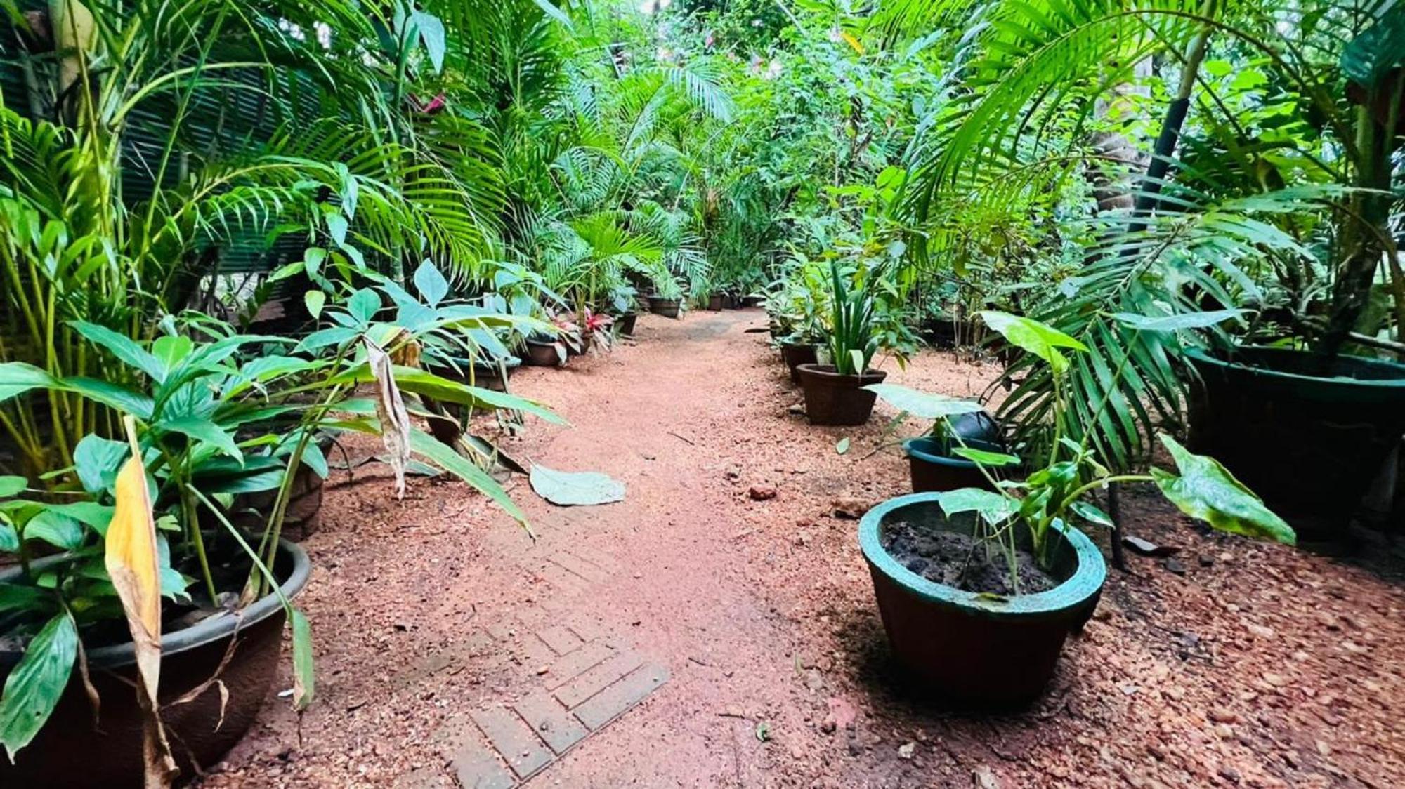 Sigiri Kp Family Home Sigiriya Exterior foto