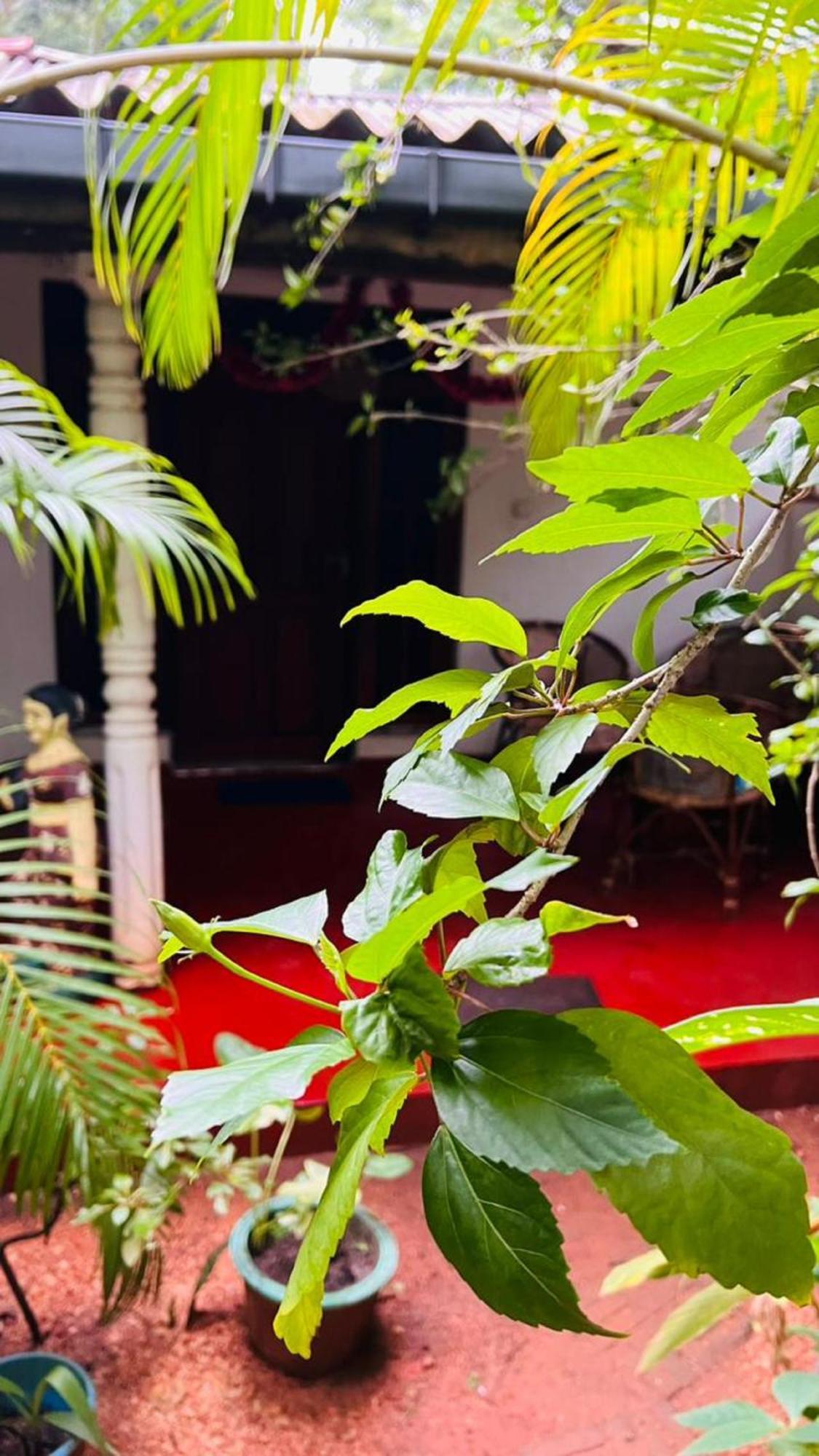 Sigiri Kp Family Home Sigiriya Exterior foto